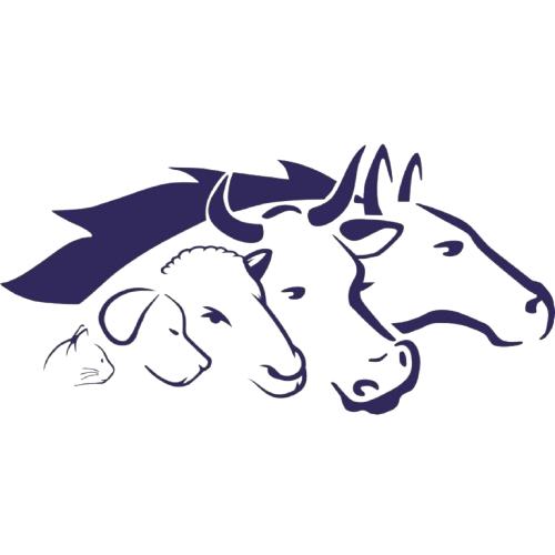 Tin Veteriner | Kıbrıs Lefkoşa Veteriner Kliniği | Kıbrıs Lefkoşa Veteriner | Kıbrıs Lefkoşa Veteriner Hekim | Kıbrıs Lefkoşa Acil Veteriner | Kıbrıs Lefkoşa En İyi Veteriner